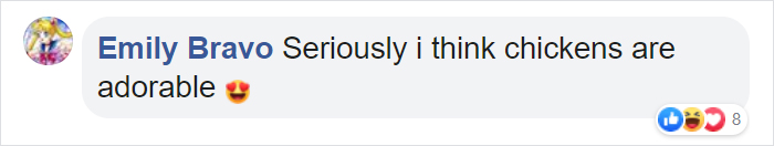 Man Grows Tired Of His Chickens Always Escaping The Coop So He Buys Them High-Visibility Vests Man Grows Tired Of His Chickens Always Escaping The Coop So He Buys Them High-Visibility Vests