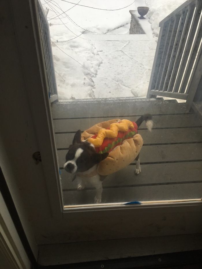 50 Surprising Cases Of &#8220;It Ain&#8217;t Stupid If It Works&#8221;