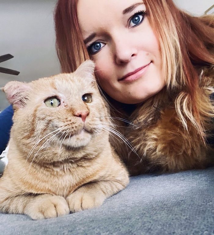 After Convincing Landlord, Woman Brings The Saddest Stray Cat Home, A Year Later, He’s Unrecognizable