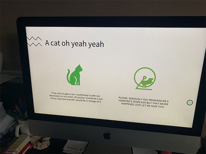 Canadian Girl Makes A PowerPoint To Convince Her Parents To Get A Cat, And It Goes Viral Canadian Girl Makes A PowerPoint To Convince Her Parents To Get A Cat, And It Goes Viral