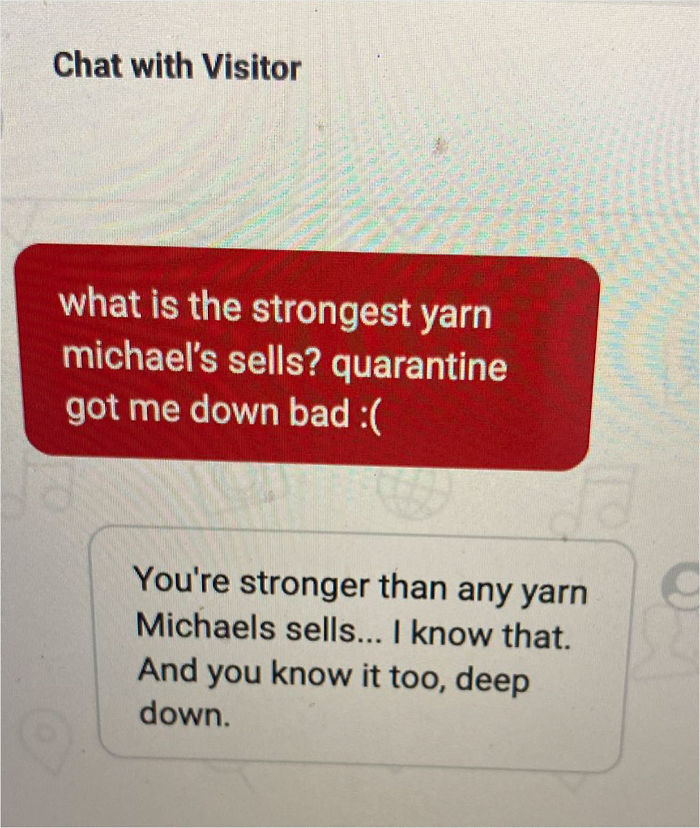 30 Hilarious Conversations Between Shoppers On Michaels’ Store Website 30 Hilarious Conversations Between Shoppers On Michaels’ Store Website