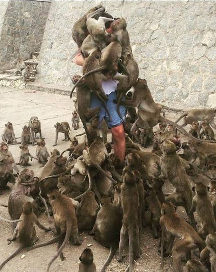 ‘What Could Go Wrong’: 40 Times People Immediately Regretted Their Poor Life Choices ‘What Could Go Wrong’: 40 Times People Immediately Regretted Their Poor Life Choices