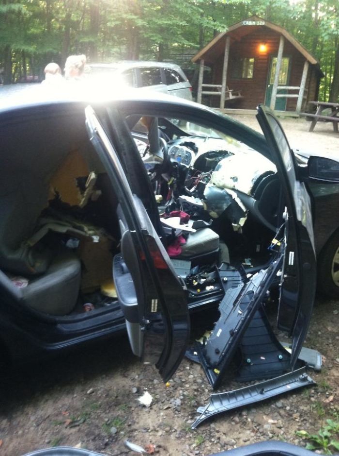 ‘What Could Go Wrong’: 40 Times People Immediately Regretted Their Poor Life Choices ‘What Could Go Wrong’: 40 Times People Immediately Regretted Their Poor Life Choices