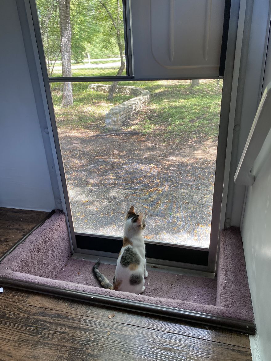 I Bought An Old 1995 RV, And Here’s How I Transformed It Into A Beautiful Home For Me And Two Kittens That I Recently Adopted (21 Pics) I Bought An Old 1995 RV, And Here’s How I Transformed It Into A Beautiful Home For Me And Two Kittens That I Recently Adopted (21 Pics)