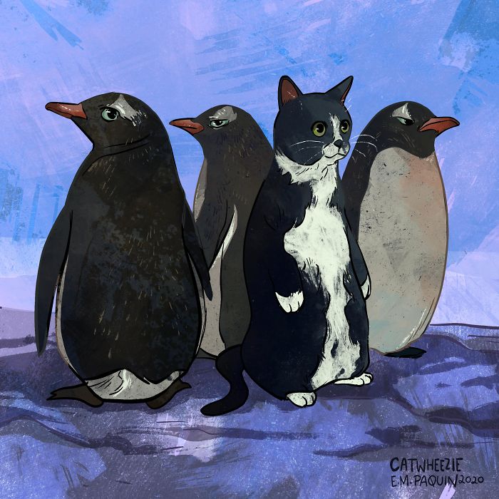 Artist Wants To Adopt A Cat So Bad, She Signs Up For A 100-Day Cat Meme Drawing Challenge Artist Wants To Adopt A Cat So Bad, She Signs Up For A 100-Day Cat Meme Drawing Challenge