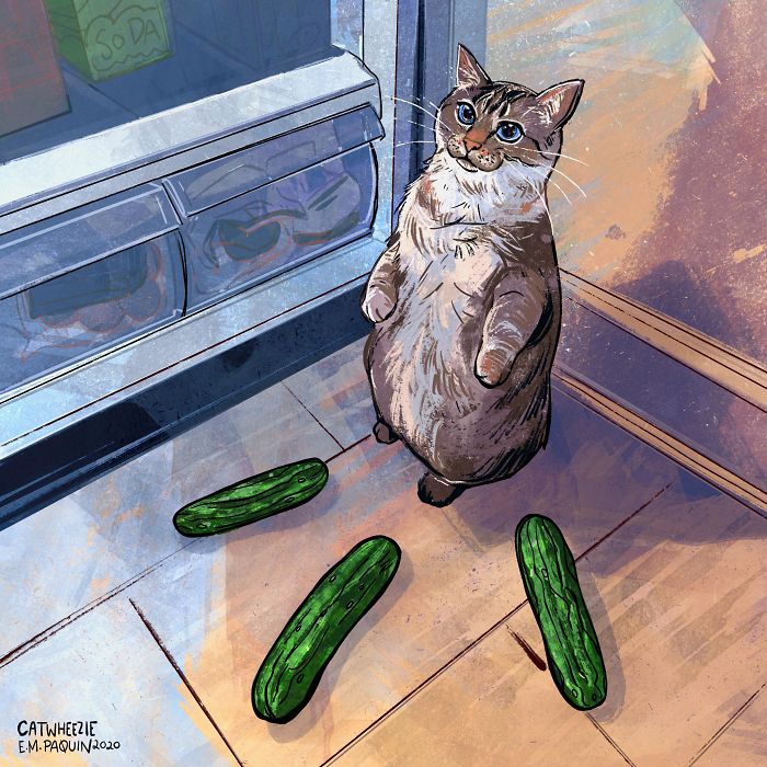 Artist Wants To Adopt A Cat So Bad, She Signs Up For A 100-Day Cat Meme Drawing Challenge Artist Wants To Adopt A Cat So Bad, She Signs Up For A 100-Day Cat Meme Drawing Challenge