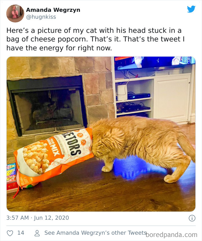 39 Poor Animals Who Ran Out Of Luck And Got Stuck While Eating