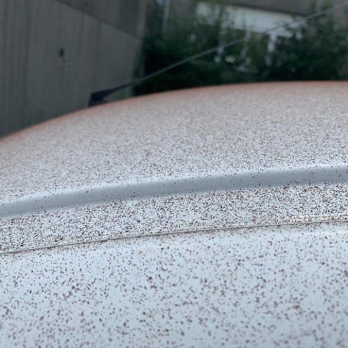 “Chocolate Snow” Covers Swiss Town After A Mishap At The Local Chocolate Factory “Chocolate Snow” Covers Swiss Town After A Mishap At The Local Chocolate Factory