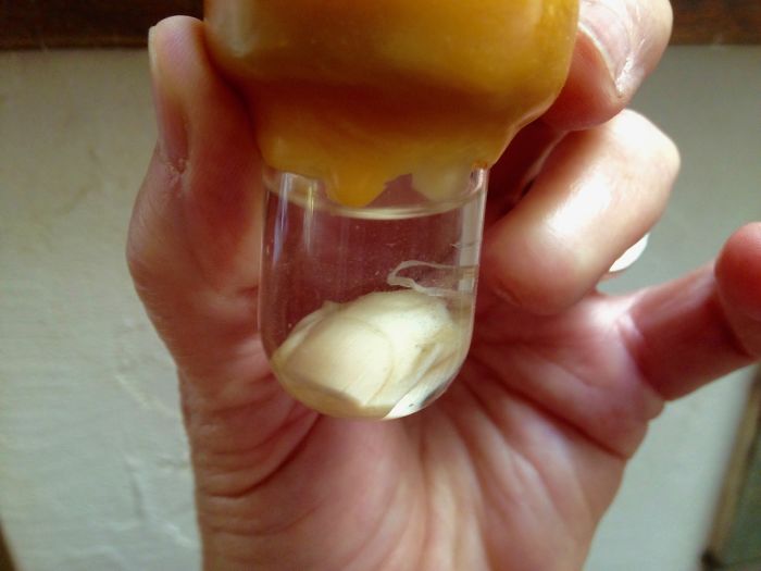 Hey Pandas, What Is The Weirdest Thing You Own? (Closed) Hey Pandas, What Is The Weirdest Thing You Own? (Closed)