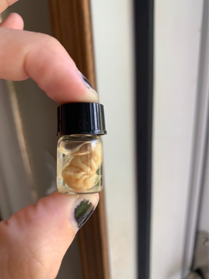 Hey Pandas, What Is The Weirdest Thing You Own? (Closed) Hey Pandas, What Is The Weirdest Thing You Own? (Closed)