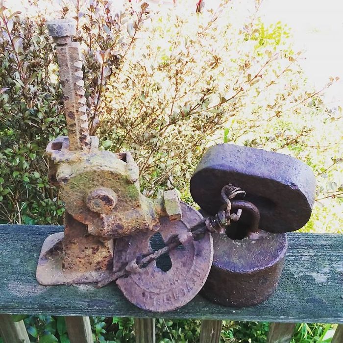 Hey Pandas, What Is The Weirdest Thing You Own? (Closed) Hey Pandas, What Is The Weirdest Thing You Own? (Closed)