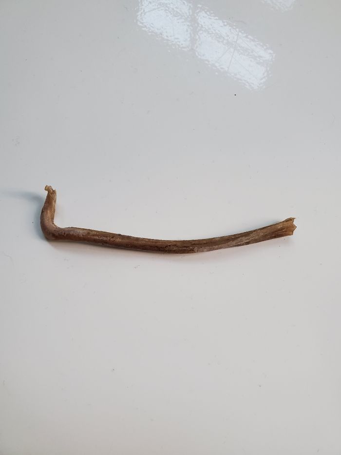 Hey Pandas, What Is The Weirdest Thing You Own? (Closed) Hey Pandas, What Is The Weirdest Thing You Own? (Closed)