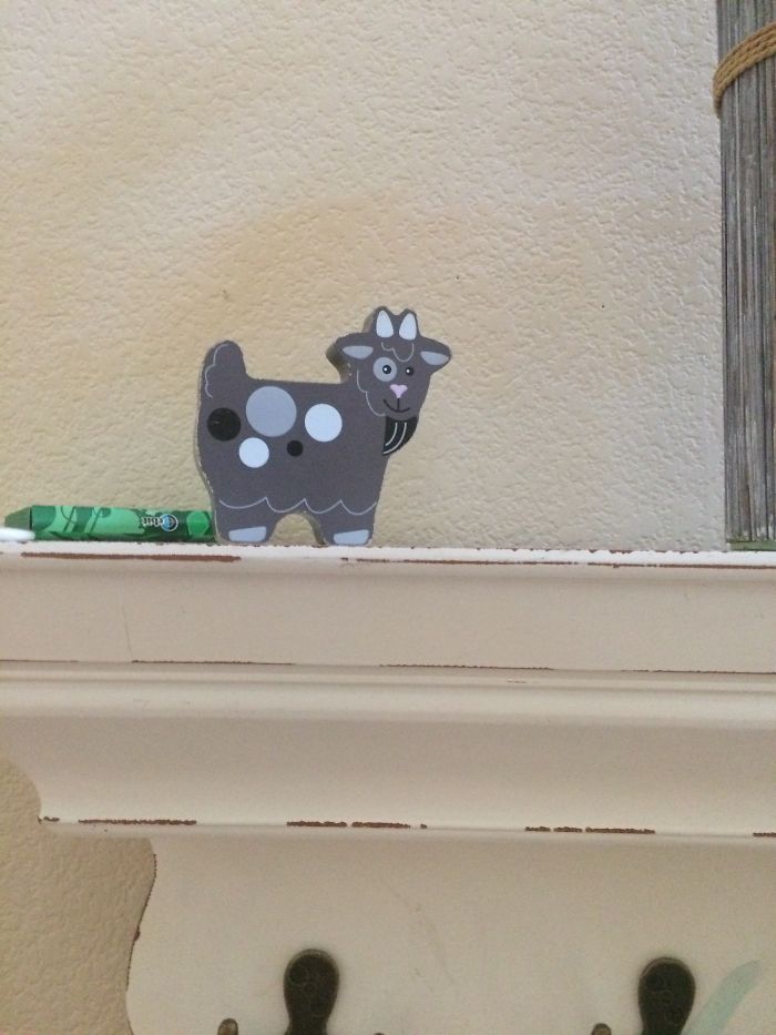 Hey Pandas, What Is The Weirdest Thing You Own? (Closed) Hey Pandas, What Is The Weirdest Thing You Own? (Closed)