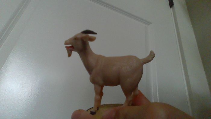 Hey Pandas, What Is The Weirdest Thing You Own? (Closed) Hey Pandas, What Is The Weirdest Thing You Own? (Closed)