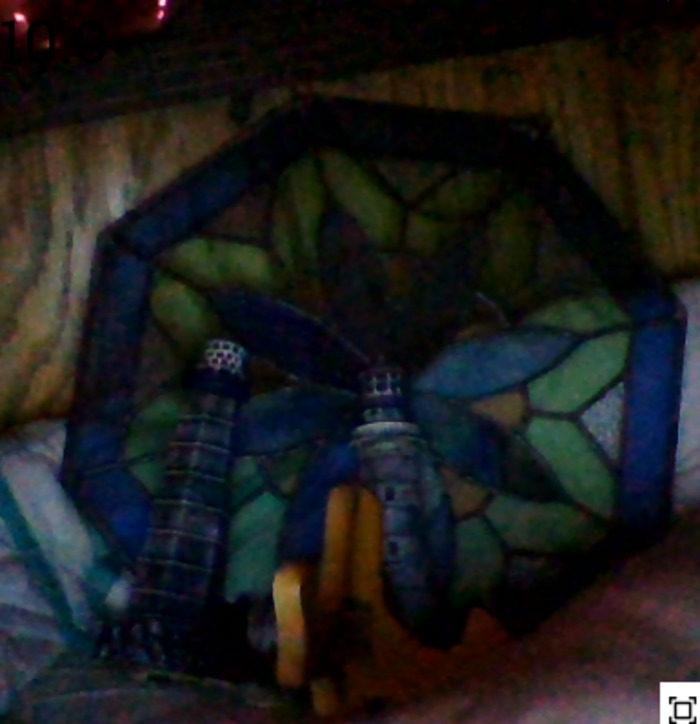 Hey Pandas, What Is The Weirdest Thing You Own? (Closed) Hey Pandas, What Is The Weirdest Thing You Own? (Closed)