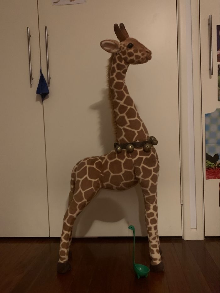 Hey Pandas, What Is The Weirdest Thing You Own? (Closed) Hey Pandas, What Is The Weirdest Thing You Own? (Closed)