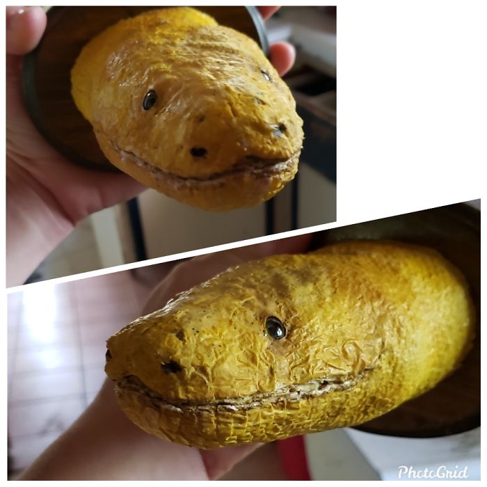 Hey Pandas, What Is The Weirdest Thing You Own? (Closed) Hey Pandas, What Is The Weirdest Thing You Own? (Closed)