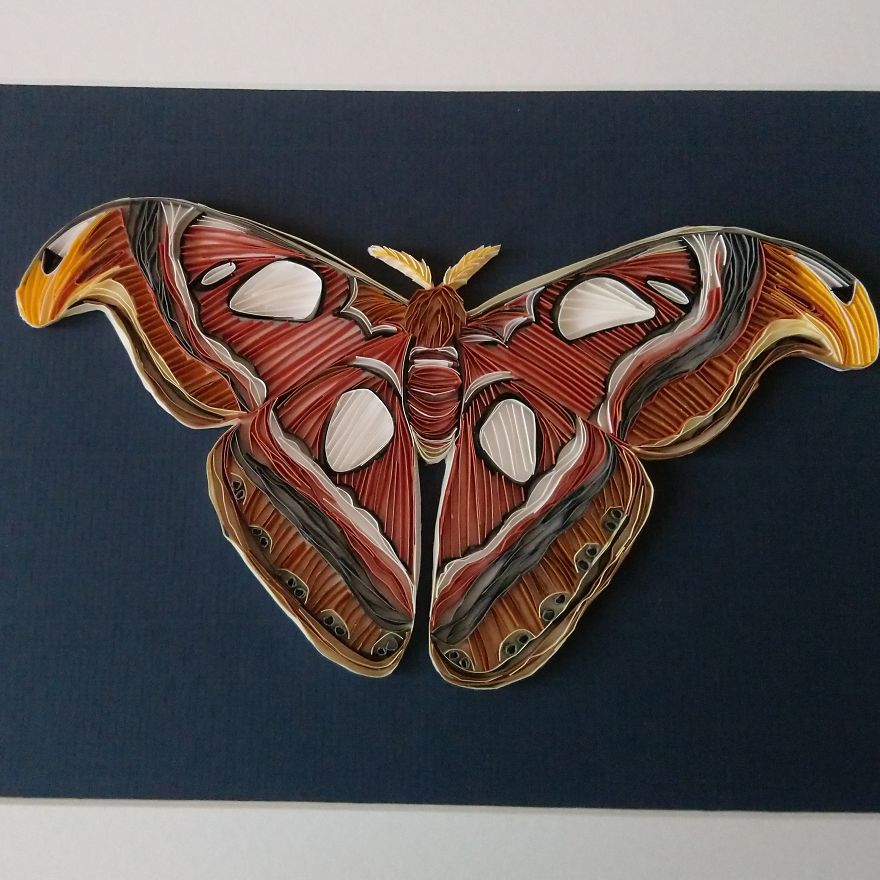 I Use A Paper Quilling Technique To Create These Art Pieces (42 Pics) I Use A Paper Quilling Technique To Create These Art Pieces (42 Pics)