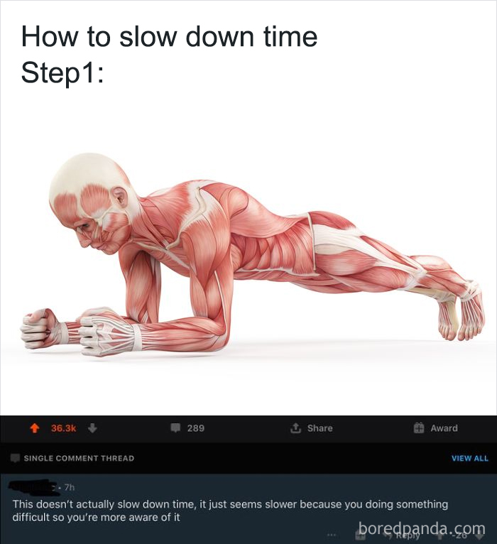 40 Times People Missed The Joke So Bad, They Embarrassed Themselves On The Internet (New Pics)