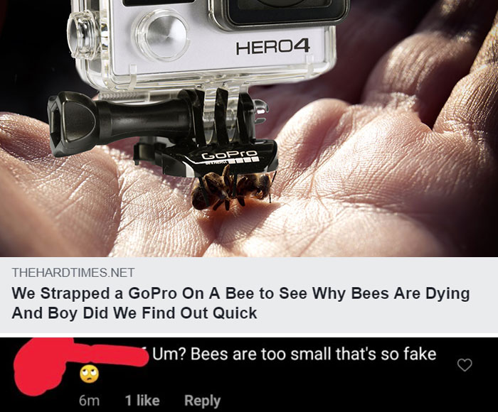 40 Times People Missed The Joke So Bad, They Embarrassed Themselves On The Internet (New Pics) 40 Times People Missed The Joke So Bad, They Embarrassed Themselves On The Internet (New Pics)