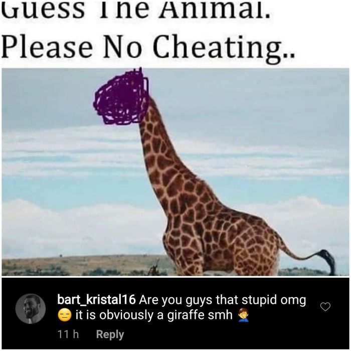 40 Times People Missed The Joke So Bad, They Embarrassed Themselves On The Internet (New Pics)