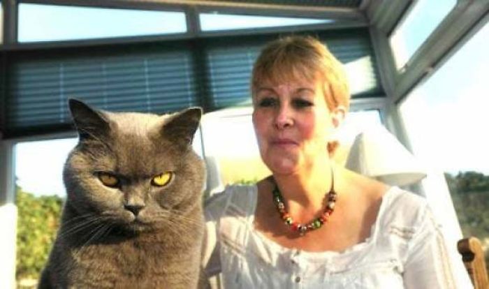 26 Stories Of Owners Finding Missing Cats Years After They Disappeared 26 Stories Of Owners Finding Missing Cats Years After They Disappeared