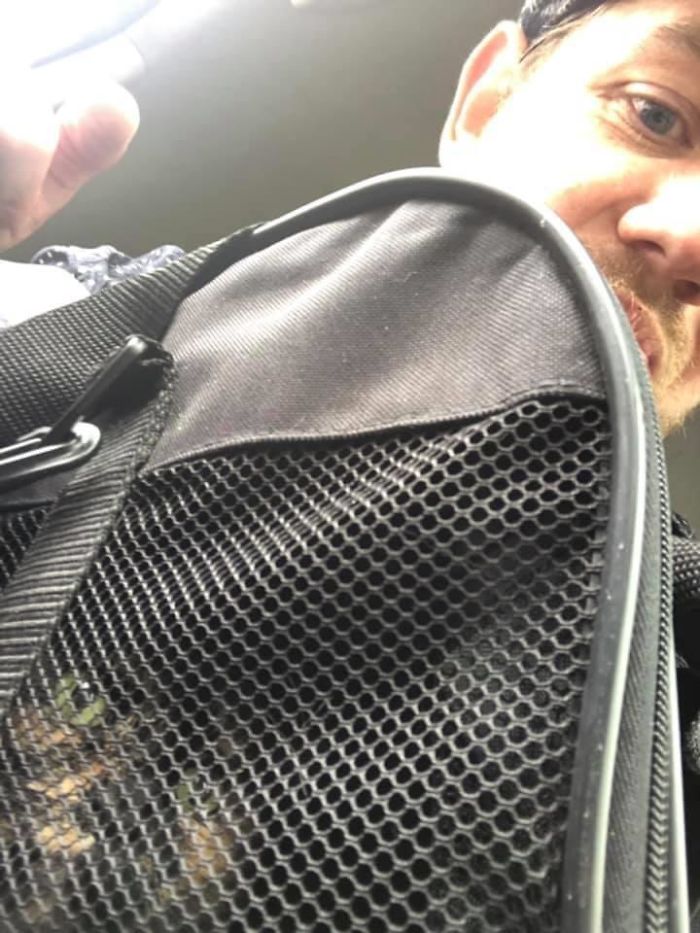 26 Stories Of Owners Finding Missing Cats Years After They Disappeared 26 Stories Of Owners Finding Missing Cats Years After They Disappeared