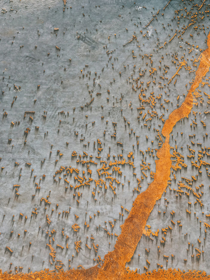 2020 iPhone Photography Award Winners Once Again Proved That Striking Photos Can Be Taken Without An Expensive Camera (45 Pics) 2020 iPhone Photography Award Winners Once Again Proved That Striking Photos Can Be Taken Without An Expensive Camera (45 Pics)