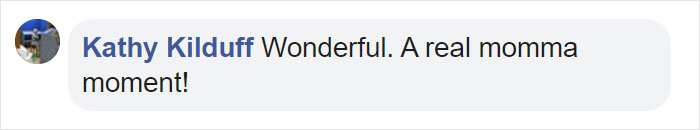 Mama Bear Scolds Her Cub For Peeking Into This Woman&#8217;s Window And The Video Goes Viral