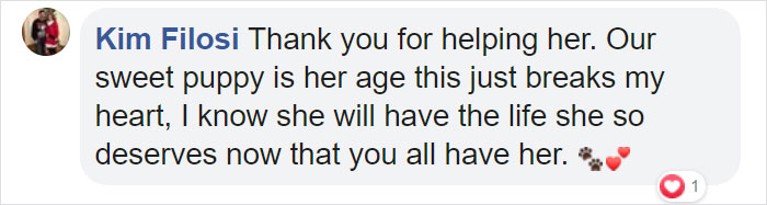 Poor Stray Dog Comes To Rest On This Family&#8217;s Porch, Refuses To Leave