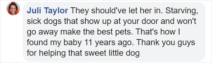 Poor Stray Dog Comes To Rest On This Family&#8217;s Porch, Refuses To Leave