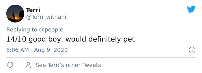 Police Dog Finds Missing Mother And Baby On His First Day At Work Police Dog Finds Missing Mother And Baby On His First Day At Work