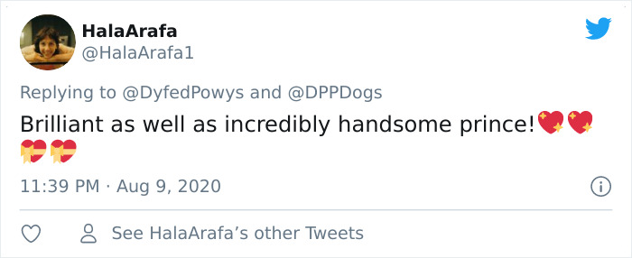 Police Dog Finds Missing Mother And Baby On His First Day At Work Police Dog Finds Missing Mother And Baby On His First Day At Work