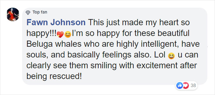 Two Beluga Whales Are Rescued From Performing As Show Animals In China, And Their Smiles Say It All