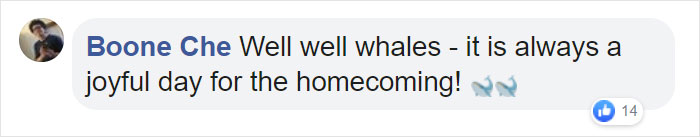 Two Beluga Whales Are Rescued From Performing As Show Animals In China, And Their Smiles Say It All