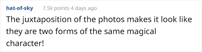 Photographer Finds A Surprise Visitor When Checking Pics On His Camera Trap Photographer Finds A Surprise Visitor When Checking Pics On His Camera Trap