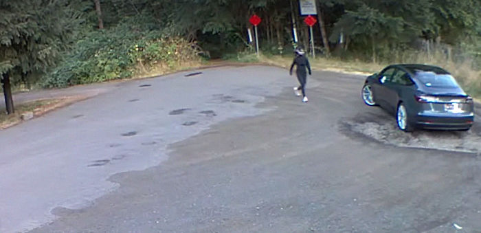 Cruel Owner Leads Tail-Wagging Senior Labrador Into The Woods, Abandons Him, And Drives Off In Her Tesla Cruel Owner Leads Tail-Wagging Senior Labrador Into The Woods, Abandons Him, And Drives Off In Her Tesla