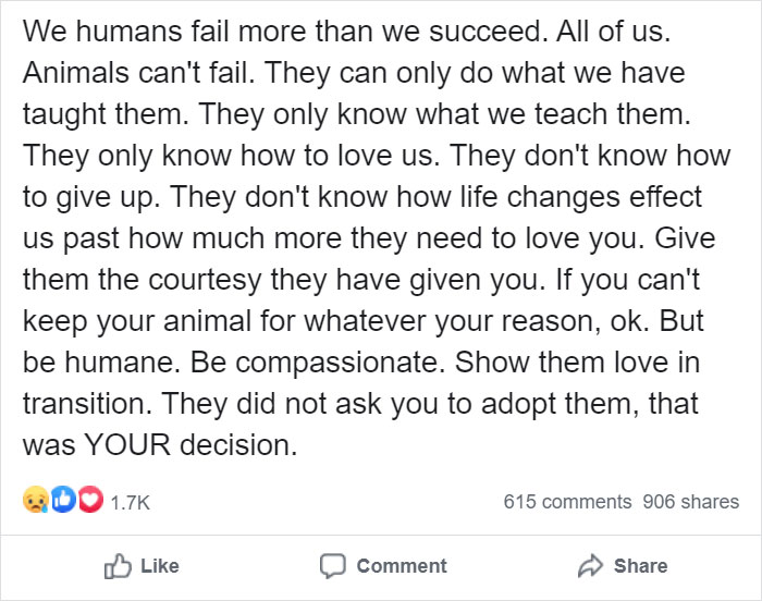 Cruel Owner Leads Tail-Wagging Senior Labrador Into The Woods, Abandons Him, And Drives Off In Her Tesla Cruel Owner Leads Tail-Wagging Senior Labrador Into The Woods, Abandons Him, And Drives Off In Her Tesla