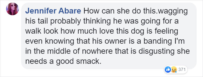 Cruel Owner Leads Tail-Wagging Senior Labrador Into The Woods, Abandons Him, And Drives Off In Her Tesla Cruel Owner Leads Tail-Wagging Senior Labrador Into The Woods, Abandons Him, And Drives Off In Her Tesla