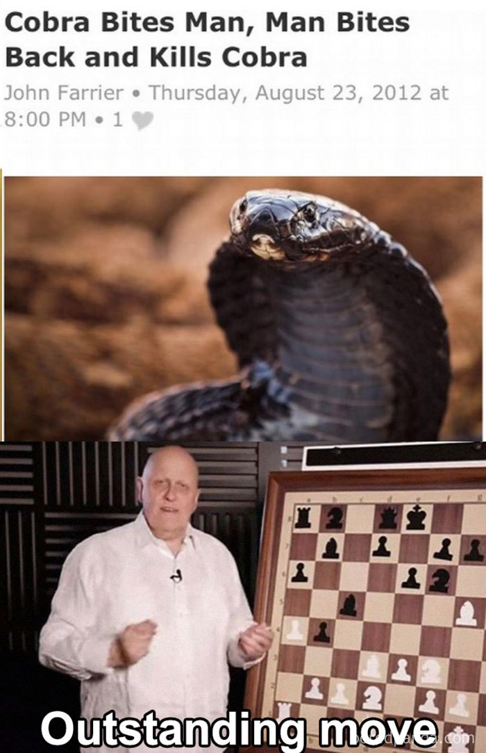 38 Of The Funniest ‘Outstanding Move’ Jokes Ever 38 Of The Funniest ‘Outstanding Move’ Jokes Ever