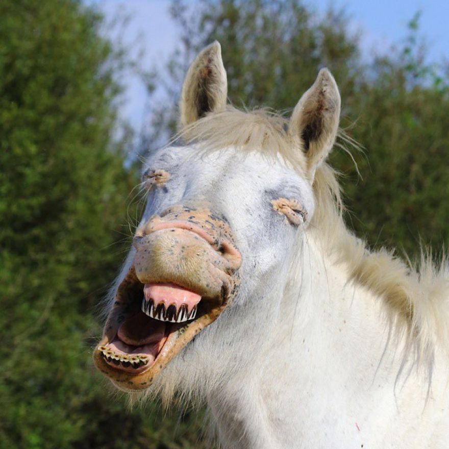 This Photographer Ventured To Dangerous Places Where He Shot These 30 Wildlife Photos This Photographer Ventured To Dangerous Places Where He Shot These 30 Wildlife Photos