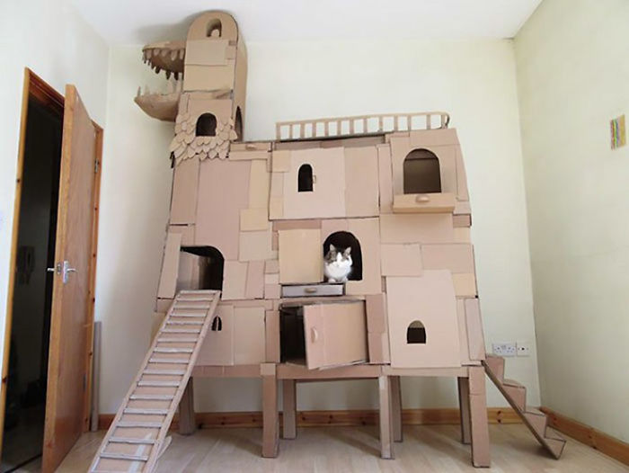 30 Times People Built Their Cats A Cardboard Fort And It’s An Ecological Solution To Where To Put All The Boxes 30 Times People Built Their Cats A Cardboard Fort And It’s An Ecological Solution To Where To Put All The Boxes