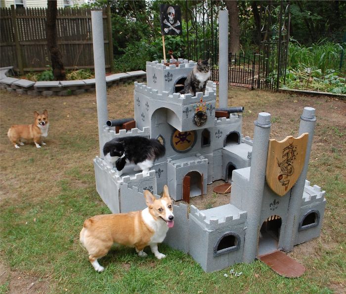 30 Times People Built Their Cats A Cardboard Fort And It’s An Ecological Solution To Where To Put All The Boxes 30 Times People Built Their Cats A Cardboard Fort And It’s An Ecological Solution To Where To Put All The Boxes