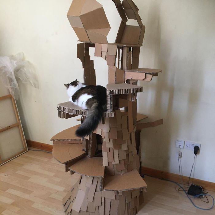 30 Times People Built Their Cats A Cardboard Fort And It’s An Ecological Solution To Where To Put All The Boxes 30 Times People Built Their Cats A Cardboard Fort And It’s An Ecological Solution To Where To Put All The Boxes