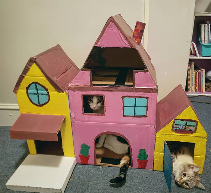 30 Times People Built Their Cats A Cardboard Fort And It’s An Ecological Solution To Where To Put All The Boxes 30 Times People Built Their Cats A Cardboard Fort And It’s An Ecological Solution To Where To Put All The Boxes