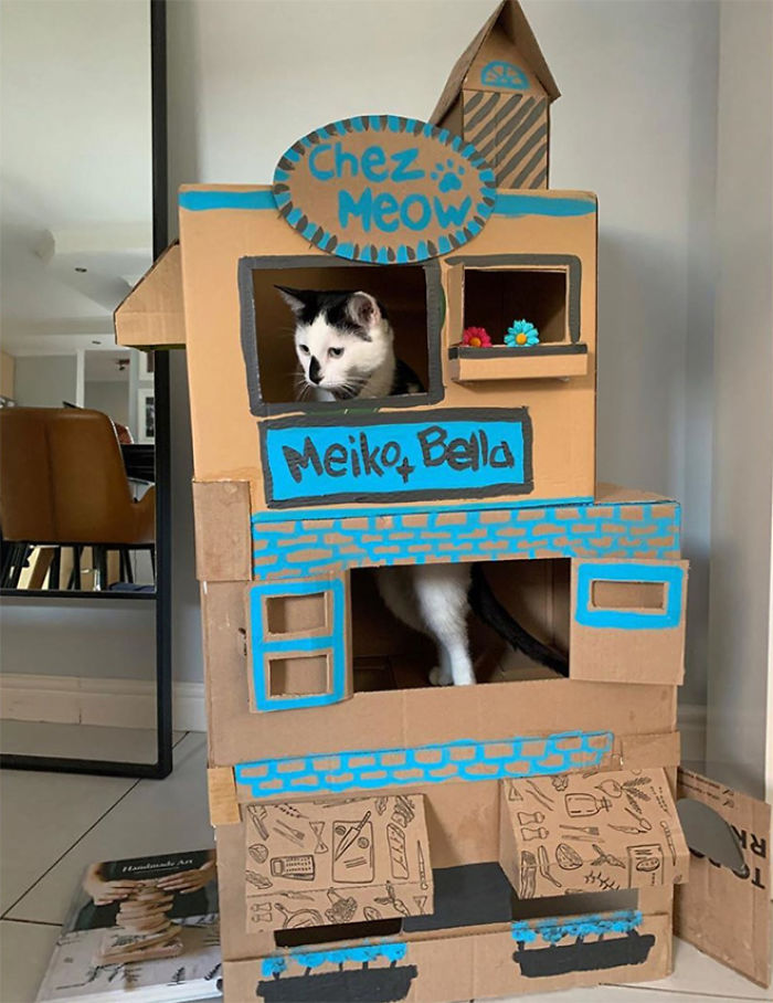 30 Times People Built Their Cats A Cardboard Fort And It’s An Ecological Solution To Where To Put All The Boxes 30 Times People Built Their Cats A Cardboard Fort And It’s An Ecological Solution To Where To Put All The Boxes
