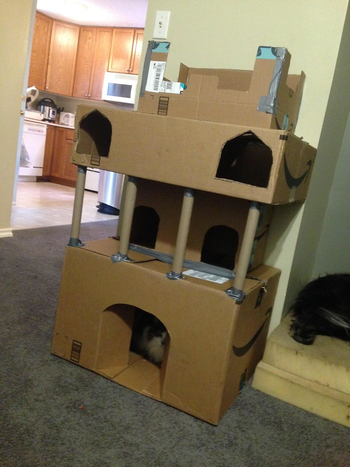 30 Times People Built Their Cats A Cardboard Fort And It’s An Ecological Solution To Where To Put All The Boxes 30 Times People Built Their Cats A Cardboard Fort And It’s An Ecological Solution To Where To Put All The Boxes