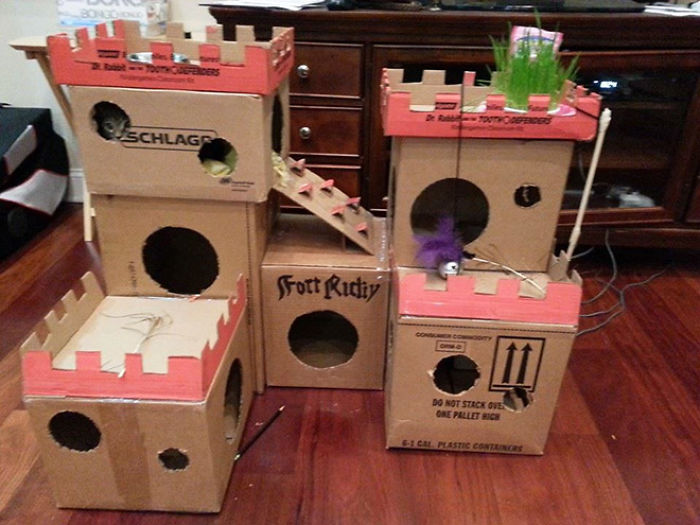 30 Times People Built Their Cats A Cardboard Fort And It’s An Ecological Solution To Where To Put All The Boxes 30 Times People Built Their Cats A Cardboard Fort And It’s An Ecological Solution To Where To Put All The Boxes