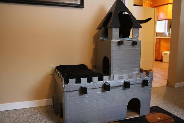 30 Times People Built Their Cats A Cardboard Fort And It’s An Ecological Solution To Where To Put All The Boxes 30 Times People Built Their Cats A Cardboard Fort And It’s An Ecological Solution To Where To Put All The Boxes