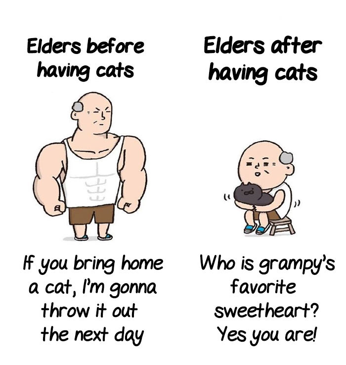 5 Untold Struggles Of Having A Cat 5 Untold Struggles Of Having A Cat